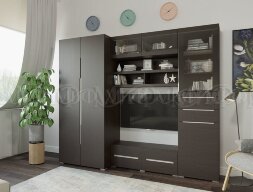 Тумба ТВ длинная ТБ-002 Эколь